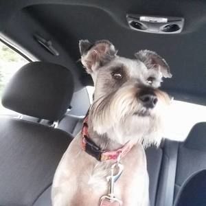 Meet your Posher, Jen